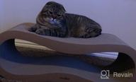 img 1 attached to Modkat Scratcher Lounge (Small - 26.6L X 7H X 10.6D In.) review by Paul Tucker