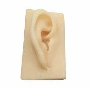 img 3 attached to Tinsay Natural Size Human Right Ear Model Life Size Silicone Ear Acupuncture Practice Model