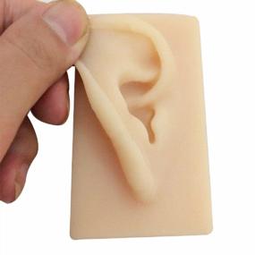 img 2 attached to Tinsay Natural Size Human Right Ear Model Life Size Silicone Ear Acupuncture Practice Model