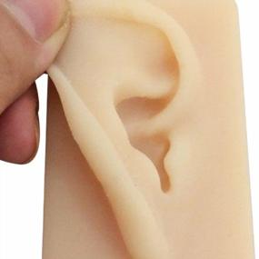 img 1 attached to Tinsay Natural Size Human Right Ear Model Life Size Silicone Ear Acupuncture Practice Model