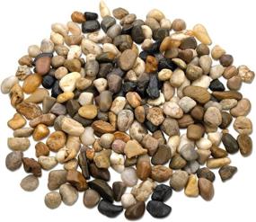 img 4 attached to 🪨 2lb Natural Polished Decorative River Rock Stones for Glassware, Vases, Aquariums and Terrariums