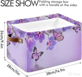 img 2 attached to Storage Butterfly Collapsible Organizer 15X11X9 5