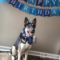 img 1 attached to Celebrate Your Pup'S Big Day With TCBOYING'S 11-Piece Dog Birthday Set – Blue Bandana, Hat, Scarf, Flags, Balloons & More! review by Cameron Kennedy