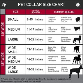 img 2 attached to Buckle Down Seatbelt Dog Collar Dogs - Training & Behavior Aids