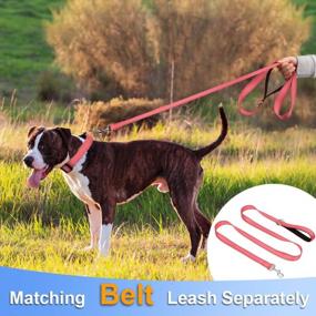 img 2 attached to Taglory Reflective Adjustable Dog Collars For Puppy Small Medium Large Dogs, Thin Nylon Webbing And Quick Release Plastic Buckle(Noen Pink,Large)