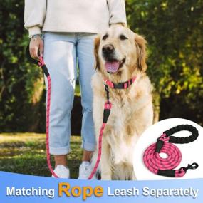 img 1 attached to Taglory Reflective Adjustable Dog Collars For Puppy Small Medium Large Dogs, Thin Nylon Webbing And Quick Release Plastic Buckle(Noen Pink,Large)