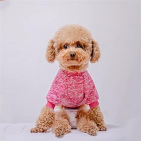 img 3 attached to Set of 3 Knitwear Dog Hoodies | Stretchy Dog Sweaters for Small Dogs and Cats | Soft Pet Clothes Pullover | Cat and Dog Hooded Shirts | Casual Sweatshirts for Winter | Warm Puppy Sweaters (Size: Small)