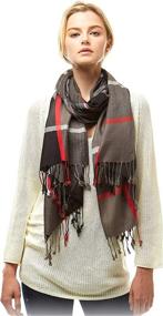 img 1 attached to Plum Feathers Luxurious Classic Pashmina Women's Accessories ~ Scarves & Wraps