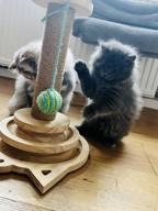 img 1 attached to Marchul Cat Toy Roller 2-Level Turntable, Wooden Cat Track Toy With Scratching Post, Interactive Kitten Fun Track Toy For Indoor Cats review by William Hilzer