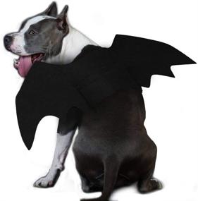 img 4 attached to 🦇 Halloween Pet Bat Wings Cat Dog Costume - Ehdching Cat Costume