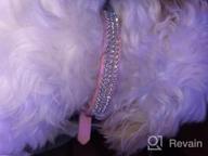 img 1 attached to Shine Bright With Didog'S Diamond-Encrusted Dog Collar For XS & Small Dogs! review by Mike Ramani