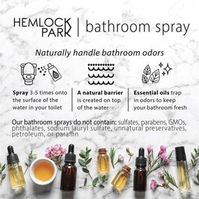 img 1 attached to Hemlock Park Bathroom & Toilet Spray with Essential Oils (Blood Orange Sage), Naturally Eliminates Odors, 3.7 oz Glass Spray