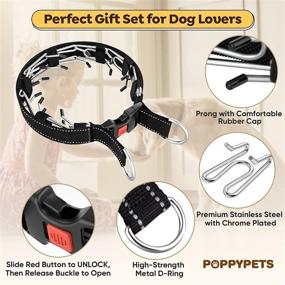 img 2 attached to Enhanced POPPYPETS Prong Dog Training Collar: Stainless Steel with Gentle Rubber Tips, Ideal for Large Dogs