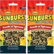 higgins sunburst sprout treats delivery logo