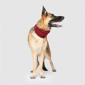 img 2 attached to 🧣 Canada Pooch Sierra Dog Scarf - Small - Maroon Knitted Pullover Scarf