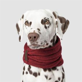 img 4 attached to 🧣 Canada Pooch Sierra Dog Scarf - Small - Maroon Knitted Pullover Scarf