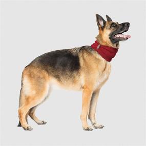 img 1 attached to 🧣 Canada Pooch Sierra Dog Scarf - Small - Maroon Knitted Pullover Scarf