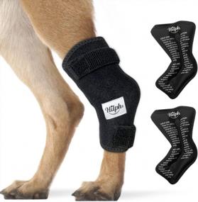 img 4 attached to Система поддержки задних конечностей Hilph для собак: многоразовые бандажи для ног собак с терапией горячим/холодным гелем для травм задних конечностей, артрита и послеоперационного восстановления
