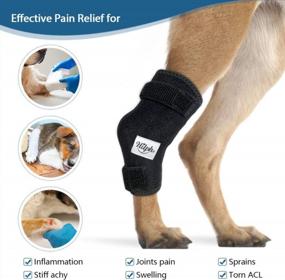 img 3 attached to Hilph Canine Rear Leg Support System: Reusable Dog Leg Braces With Hot/Cold Gel Therapy For Hind Leg Injuries, Arthritis, And Post-Surgery Recovery