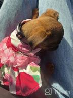 img 1 attached to KYEESE Floral Rose Dog Dresses with Flowers Decoration - Elegant Princess Dress for Small Dogs, Ideal for Spring and Summer - Puppy Apparel and Pet Clothing review by Brett Blazis