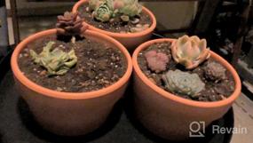 img 7 attached to 6 Inch Terra Cotta Pots With Drainage Hole - Pack Of 4 For Plants, Succulents And Cactus