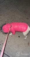 img 1 attached to Warm & Windproof Dog Coats For Small Dogs - LesyPet Grey S review by Carron Goebel