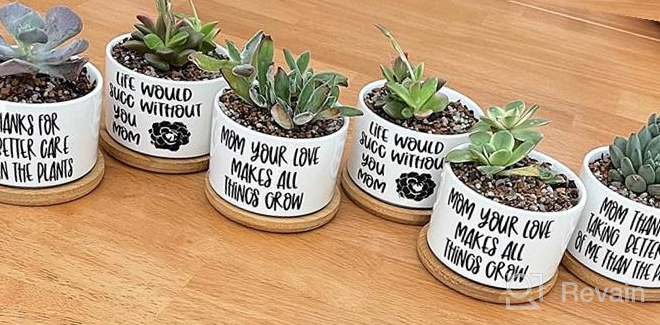 img 1 attached to 🌱 ZOUTOG Mini White Ceramic Succulent Pots with Bamboo Tray - Pack of 6, 3.15 inch Flower Planter Pot - Plants Not Included review by Tyler Smith