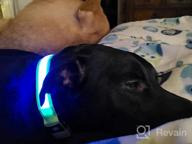 img 1 attached to Taglory Reflective Adjustable Dog Collars For Puppy Small Medium Large Dogs, Thin Nylon Webbing And Quick Release Plastic Buckle(Black Medium) review by Patrick Ceo