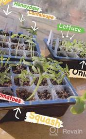 img 8 attached to Вырастите свое собственное приключение: стартовый лоток для семян Bonviee с 5 упаковками, куполами и основанием для влажности - идеально подходит для размножения в теплице (12 ячеек на лотке) в зеленом цвете