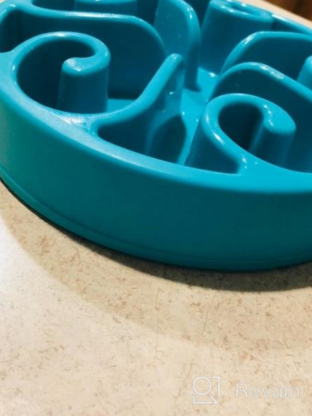 img 1 attached to Wangstar Slow Feeder Bowl For Dogs And Cats - Fun Maze Puzzle Bowl With Bloat Stop Feature, Anti-Skid Design - Blue Color, 8'' X 1.9'' Size review by Kenny Beyer