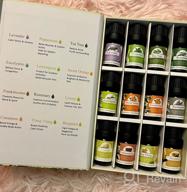 img 1 attached to 12-Piece Essential Oil Set - Eucalyptus, Tea Tree, Peppermint & More! review by Ryan Calabro