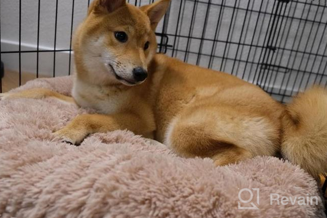 img 1 attached to Grey Anti-Anxiety Donut Dog Bed For Small Medium Dogs - Calming Pet Cuddler Bed With Soft Plush Faux Fur, Machine Washable And Anti-Slip Bottom By JOEJOY review by Kyle Mack