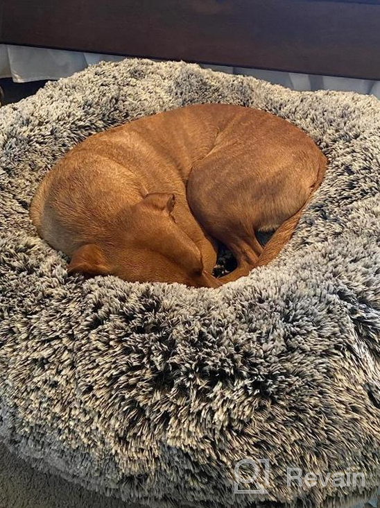 img 1 attached to Extra Plush Faux Fur Dog Bean Bed - Bessie & Barnie Bagel Circle Waterproof Dog Bed With Removable Washable Cover - Calming Pet Bed In Multiple Sizes & Colors review by Tisha Gilliland