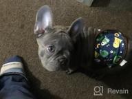 img 1 attached to 3Pcs Reusable Washable Dog Diaper Set For Small Breeds - FunnyDogClothes (Gray-Brown-Blue, M: Waist 11" - 13") review by Jackie Morales