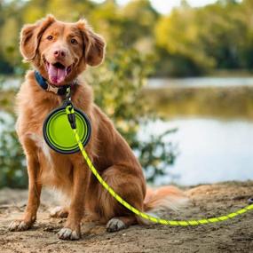 img 3 attached to 🐾 ZOVJCY Набор из 2-х Поводков для Собак 5/6 Футов с Отражающими элементами и Удобной Мягкой Ручкой для Средних и Больших Собак, включая Складную Миску для Животных и Мешки для мусора...