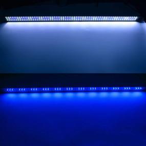 img 1 attached to Upgraded KZKR 11 to 78 Inch Full Spectrum Aquarium Light - Adjustable Remote Control Fish Tank Lamp for Freshwater and Saltwater Marine - White and Blue Lighting