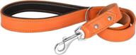 riparo leather training walking leashes dogs logo