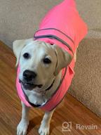 img 1 attached to Keep Your Dog Warm And Visible In The Cold With MIGOHI'S Waterproof And Windproof Dog Coat review by Jon Thompson