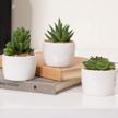3-pack mini artificial succulent plants in white round ceramic pots - fake indoor house plants for living room decorations. logo