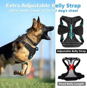img 2 attached to WINSEE No Pull Dog Harness, Step In Dog Harness With A Dog Collar, Chest Adjustable Soft Padded Vest, Reflective No Escape Harness Easy Running Walking For Small, Medium, Large, Extra-Large Dogs