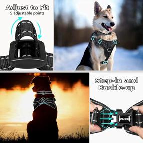 img 1 attached to WINSEE No Pull Dog Harness, Step In Dog Harness With A Dog Collar, Chest Adjustable Soft Padded Vest, Reflective No Escape Harness Easy Running Walking For Small, Medium, Large, Extra-Large Dogs