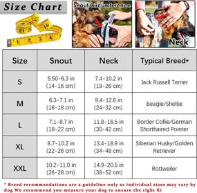 img 2 attached to Collar Training Walks Guide Padding Dogs