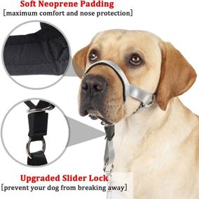 img 1 attached to Collar Training Walks Guide Padding Dogs