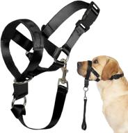 collar training walks guide padding dogs logo