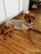 img 1 attached to MIGOHI Dog Surgery Recovery Suit For Abdominal Wounds, Reusable Pet Spay Surgical Shirt For Male Female Pets - Cone E-Collar Alternative review by Dana Schmidt