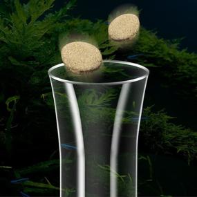 img 1 attached to 🐠 Ailindany 200mm Clear Glass Fish Feeder Tube - Ideal for Feeding Fish and Shrimp in Your Aquarium - Includes 2 Suction Cups for Easy Installation