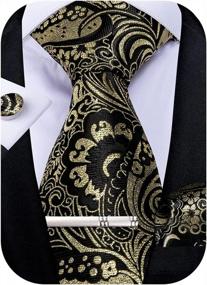 img 4 attached to Stylish Paisley Silk Tie And Pocket Square Set With Matching Cufflinks From DiBanGu For Men