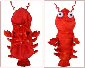 img 2 attached to 🦞 Coppthinktu Halloween Lobster Costume for Dogs - Lobster Dog Costume