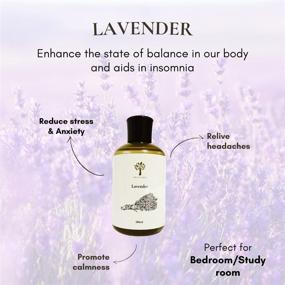 img 3 attached to 🌿 Lavender & Eucalyptus Fragrance Oil Refill: 6 oz Reed Diffuser Oil with Free Cotton Reed Sticks - Ideal for Office, Bedroom, Living Room, Bathroom, Home Decor and Oil Diffusers