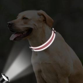 img 2 attached to Персонализированный светоотражающий ошейник для собак - металлическая пряжка с гравировкой, изготовленный на заказ нейлон для очень маленьких собак в цвете Babypink!